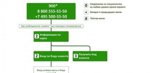 கிளையன்ட் குறியீட்டைப் பெறுவதற்கான விருப்பங்கள்: Sberbank Sberbank இன் ATM மூலம் கிளையன்ட் குறியீட்டைப் பெறுதல்