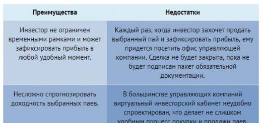 Kako zaraditi novac sa 500.000 rubalja